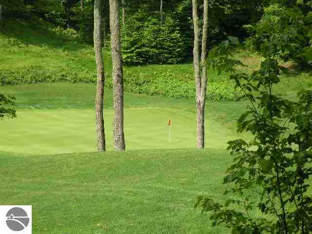 LOT144 Falcons Spur, Bellaire, MI 49615 - photo 7