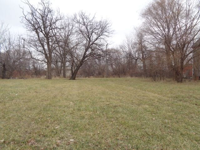 3330 14th St, Detroit MI, 48208 land for sale