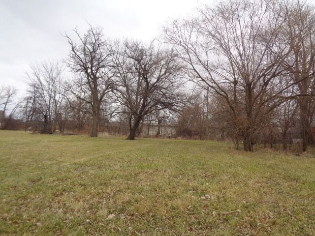 3330 14th St, Detroit, MI 48208 - photo 2