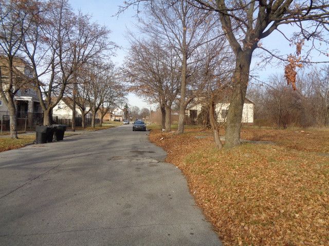 3806 Belvidere St, Detroit, MI 48214