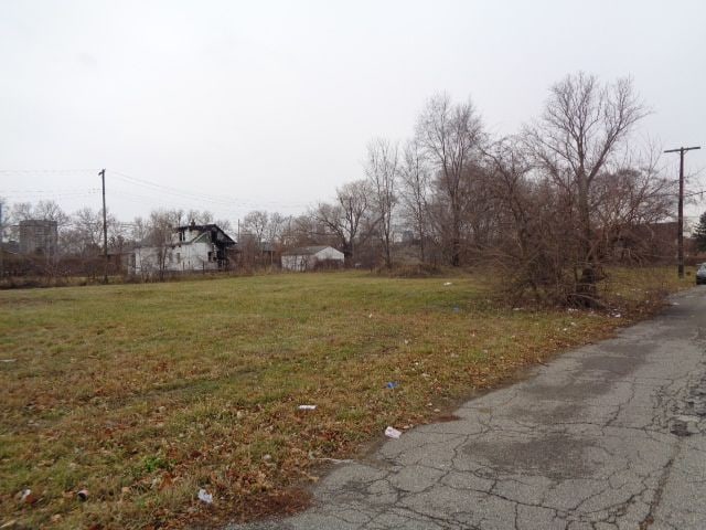 2706 Hendricks St, Detroit, MI 48207 - photo 4