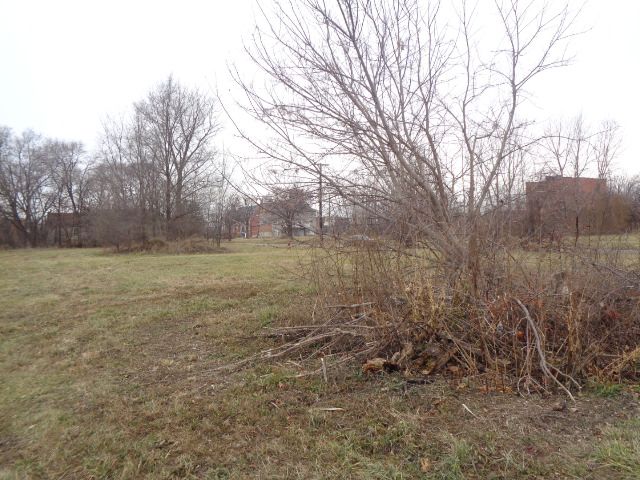2706 Hendricks St, Detroit, MI 48207 - photo 6