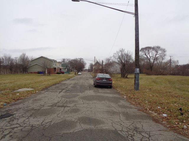 2706 Hendricks St, Detroit, MI 48207 - photo 13