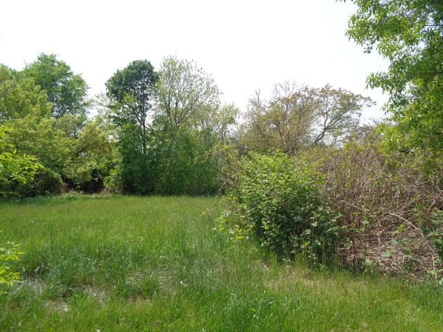 1051 Concord St, Detroit, MI 48207 - photo 2