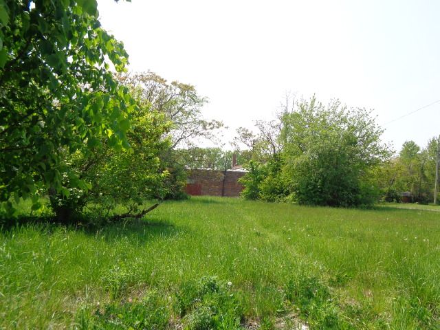 1051 Concord St, Detroit, MI 48207 - photo 3
