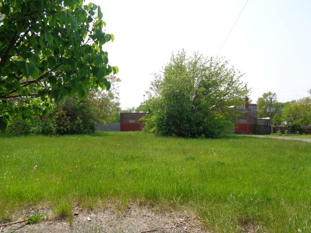 1051 Concord St, Detroit, MI 48207 - photo 4