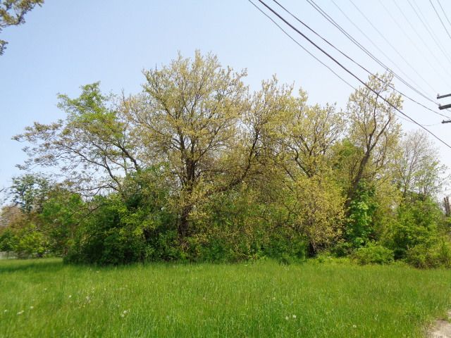 1051 Concord St, Detroit, MI 48207 - photo 9