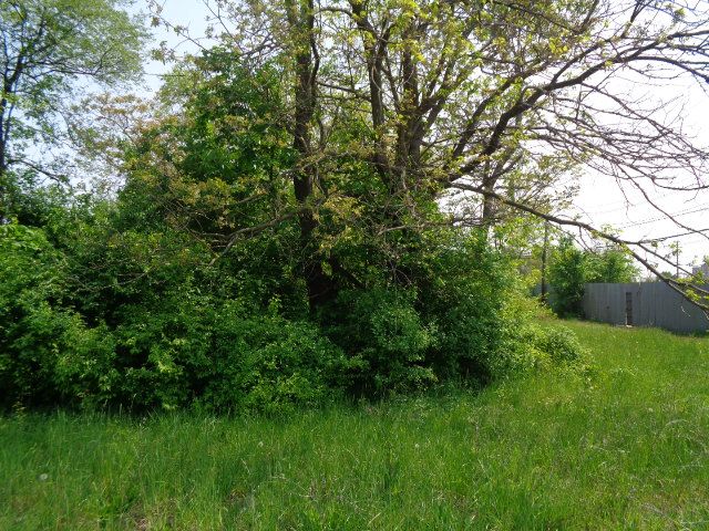 1051 Concord St, Detroit, MI 48207 - photo 7