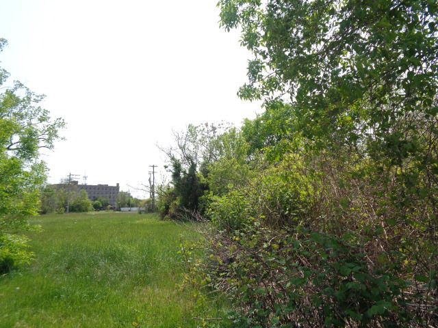 1051 Concord St, Detroit, MI 48207 - photo 10