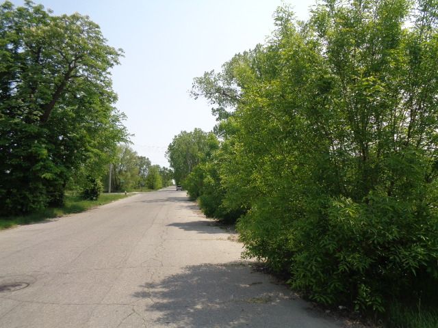 1051 Concord St, Detroit, MI 48207 - photo 11