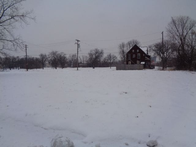 446 Concord St, Detroit, MI 48207 - photo 1