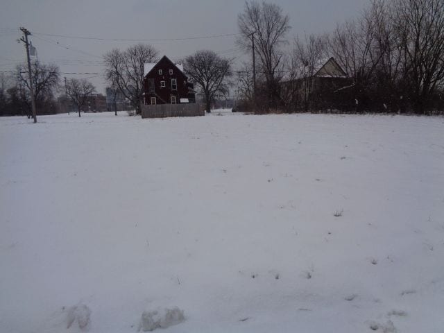 446 Concord St, Detroit, MI 48207 - photo 2