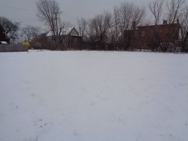 446 Concord St, Detroit, MI 48207 - photo 4