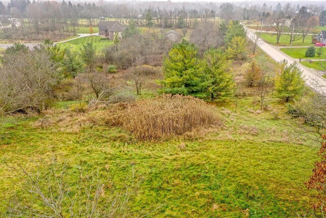 9338 Orchard Valley Ln, Davison, MI 48423 - photo 16