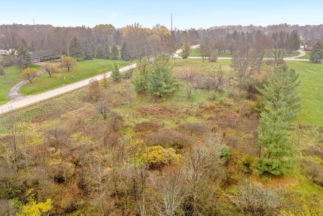 9338 Orchard Valley Ln, Davison, MI 48423 - photo 17