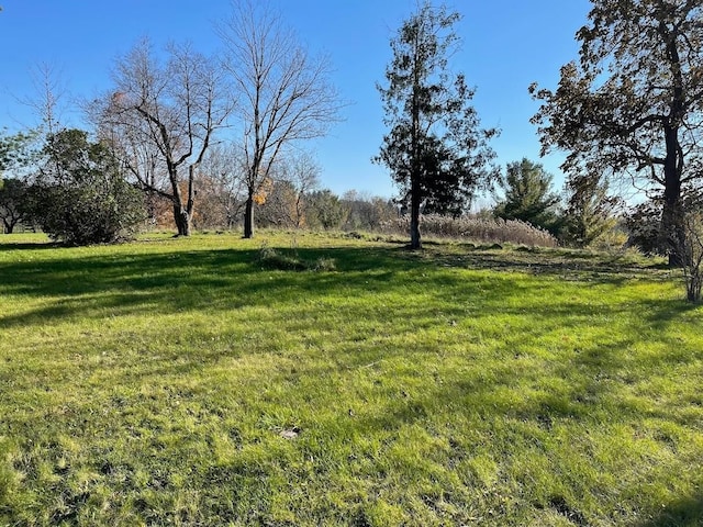 9338 Orchard Valley Ln, Davison, MI 48423 - photo 23