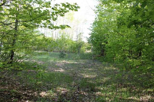 001 Tope Ct, Mancelona MI, 49659 land for sale