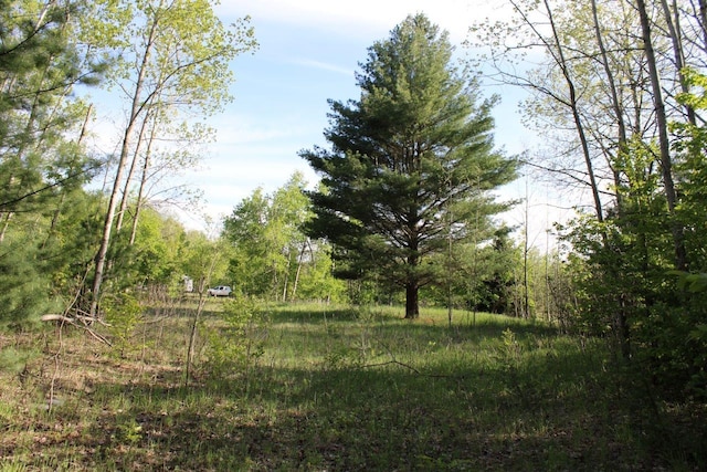 002 Tope Ct, Mancelona MI, 49659 land for sale