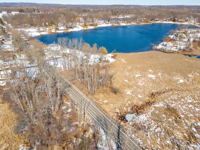 Vacant Carroll Lake Road, Commerce Twp MI, 48390 land for sale