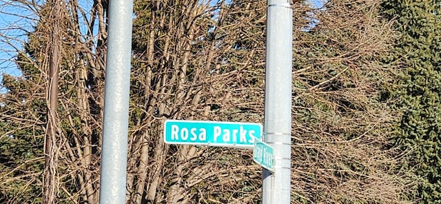 4261 Rosa Parks Blvd, Detroit, MI 48208 - photo 5