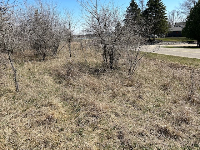 Listing photo 2 for LOT107 Manchester Way St, Butman MI 48624