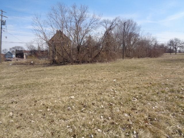 570 Concord St, Detroit, MI 48207 - photo 3