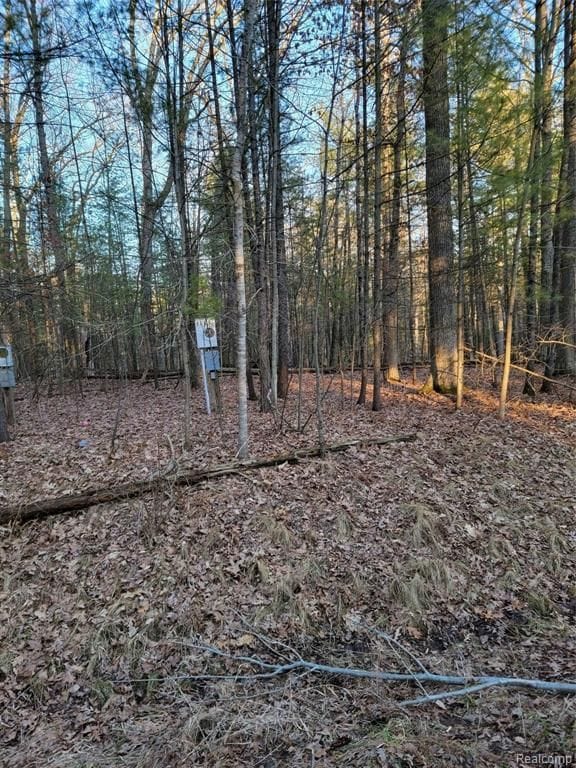 192 Princess Way, Gladwin MI, 48624 land for sale