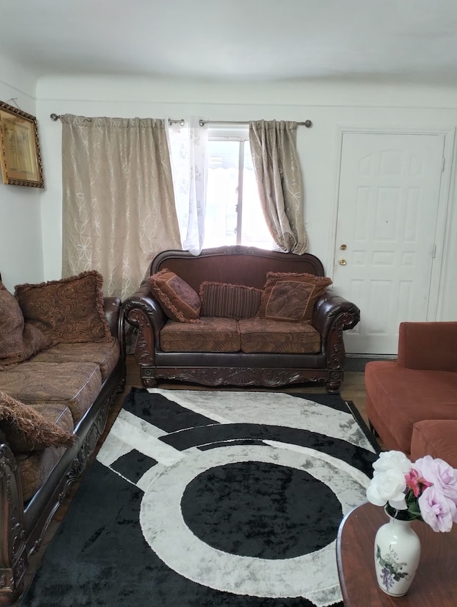 living room featuring wood-type flooring