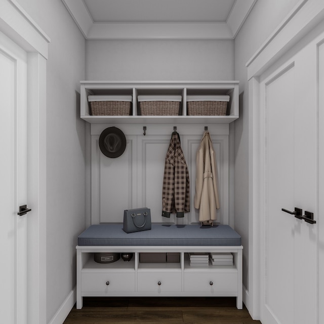 mudroom featuring dark wood-type flooring