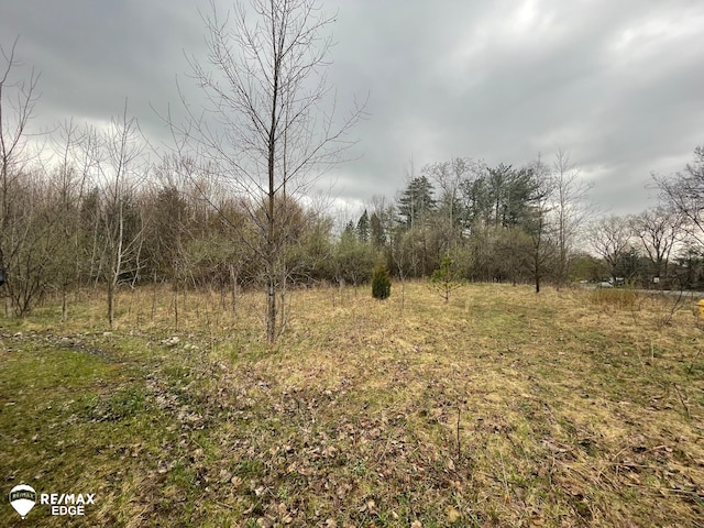 0 N Linden, Clio MI, 48420 land for sale