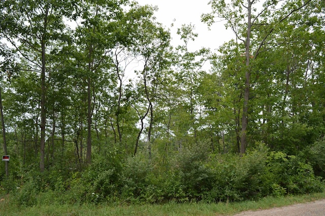 Fisher Rd, Traverse City MI, 49685 land for sale