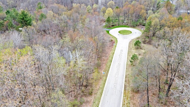 207 Astor Knolls Dr, Ortonville, MI 48462 - photo 9
