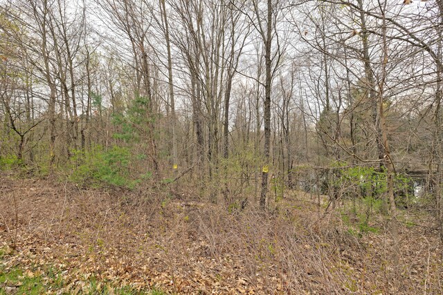 207 Astor Knolls Dr, Ortonville, MI 48462 - photo 25