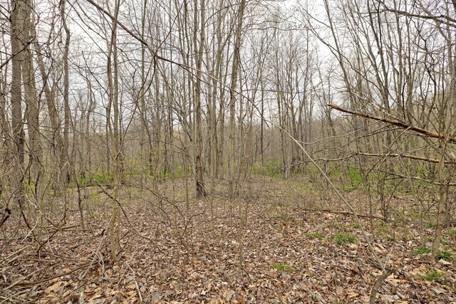 311 Dogwood Ln, Ortonville, MI 48462