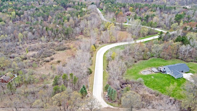 503 Bluebird Trl, Ortonville, MI 48462 - photo 3