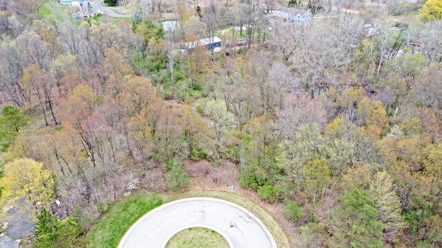 503 Bluebird Trl, Ortonville, MI 48462 - photo 10