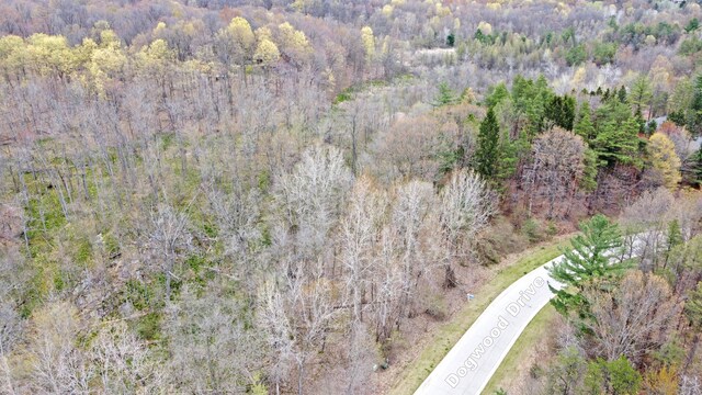 503 Bluebird Trl, Ortonville, MI 48462 - photo 13