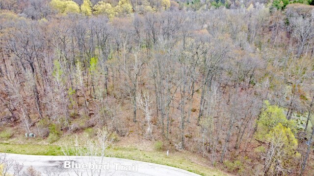 503 Bluebird Trl, Ortonville, MI 48462 - photo 19