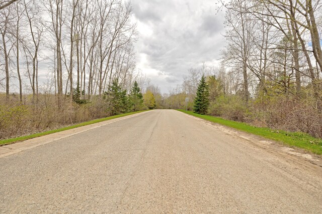 503 Bluebird Trl, Ortonville, MI 48462 - photo 24