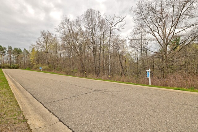 503 Bluebird Trl, Ortonville, MI 48462 - photo 25