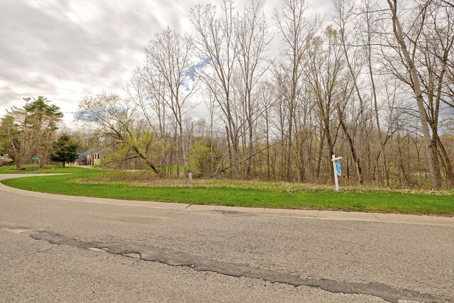 503 Bluebird Trl, Ortonville, MI 48462 - photo 32