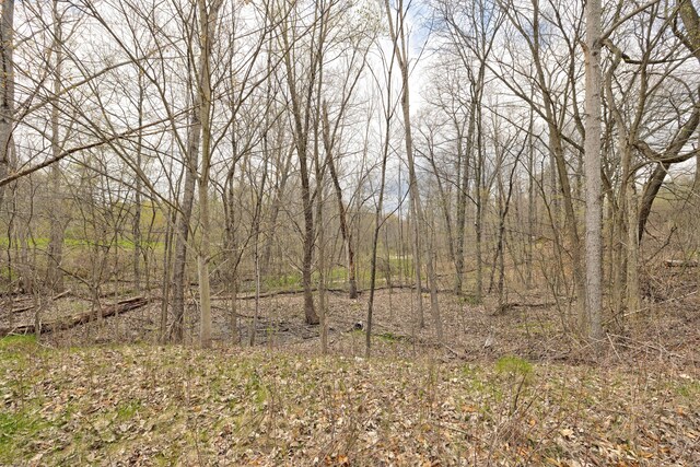 503 Bluebird Trl, Ortonville, MI 48462 - photo 33