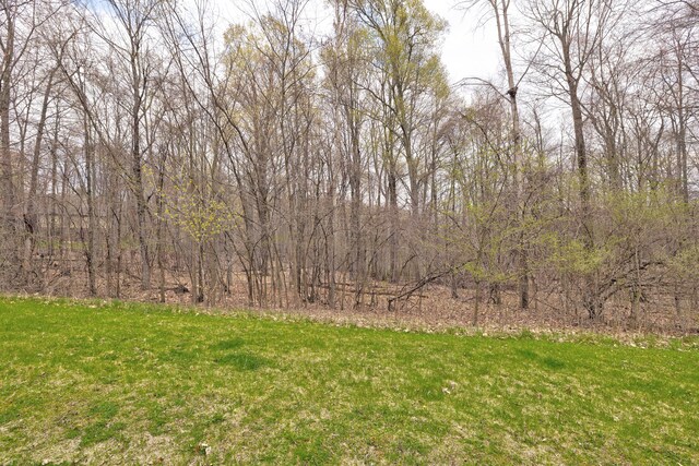 503 Bluebird Trl, Ortonville, MI 48462 - photo 34