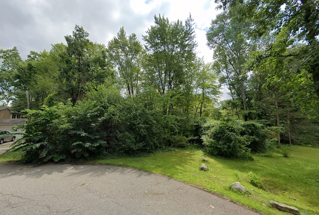 VL Tamson, West Bloomfield MI, 48324 land for sale