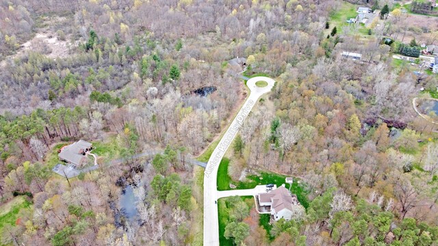 206 Astor Knolls Dr, Ortonville, MI 48462
