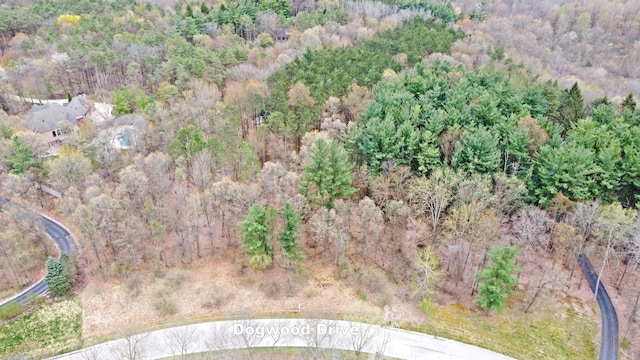 206 Astor Knolls Dr, Ortonville, MI 48462