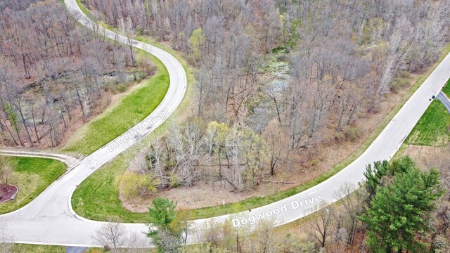206 Astor Knolls Dr, Ortonville, MI 48462