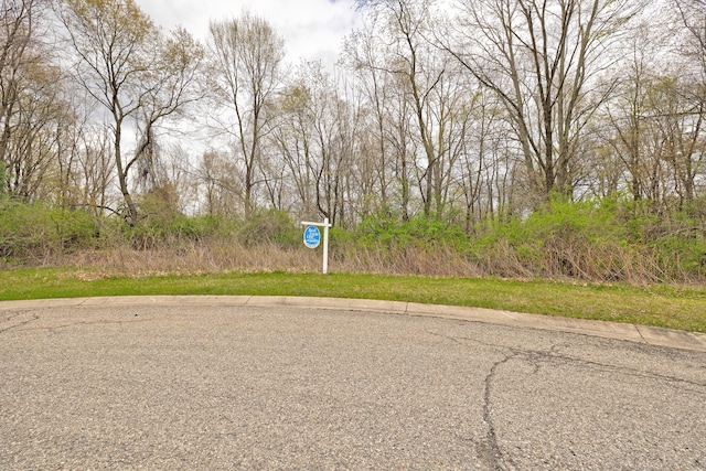 206 Astor Knolls Dr, Ortonville MI, 48462 land for sale