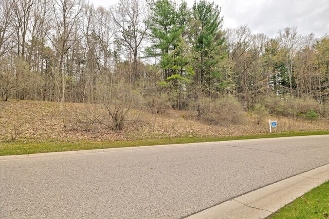206 Astor Knolls Dr, Ortonville, MI 48462