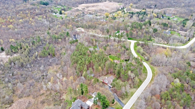 204 Astor Knolls Dr, Ortonville, MI 48462